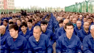 A group of people in blue shirtsDescription automatically generated with low confidence