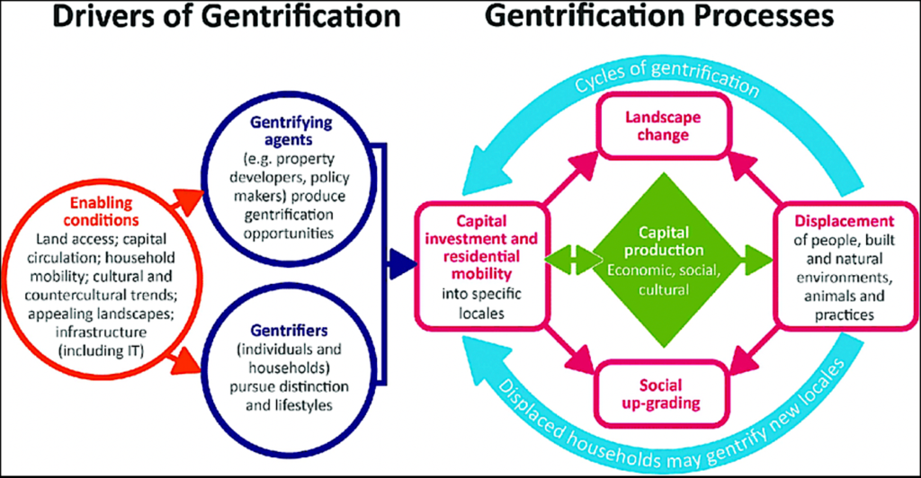 Diagram of different types of gentrification Description automatically generated