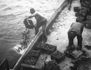A person loading a boat with crates of shellsDescription automatically generated with medium confidence