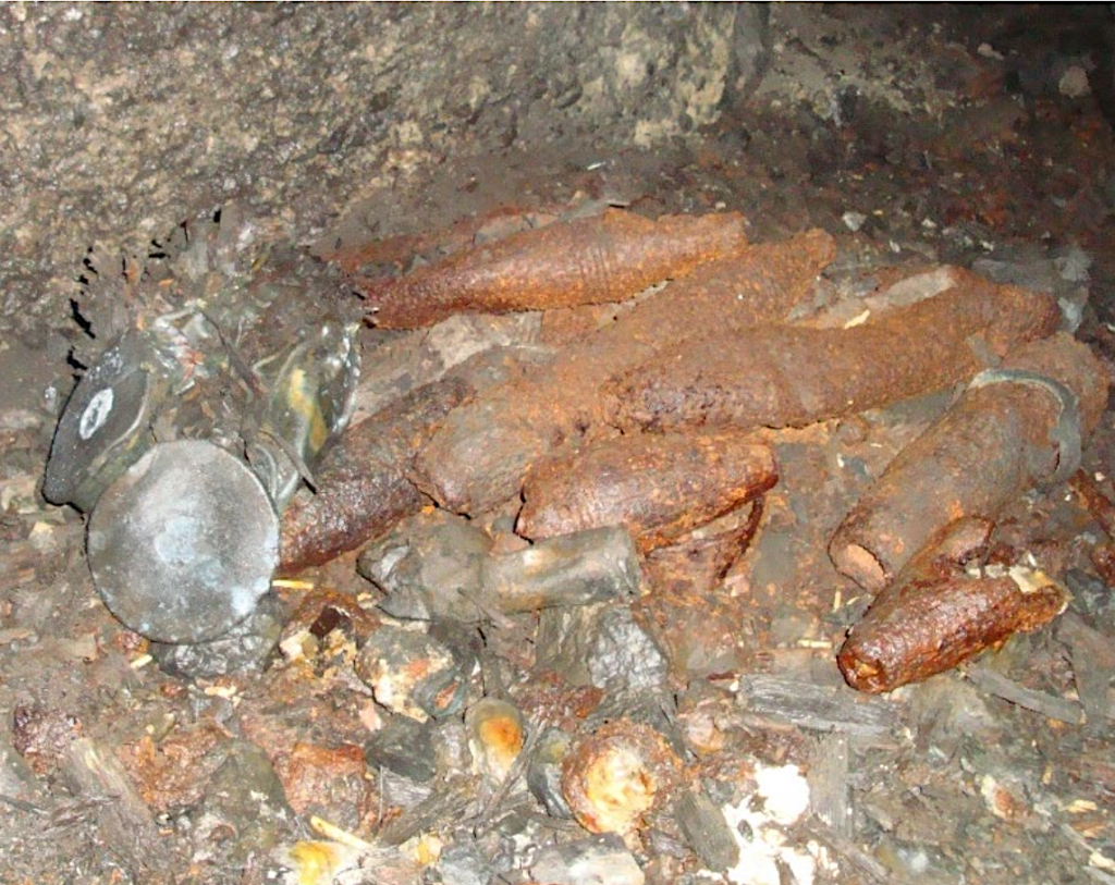 A pile of fish on the groundDescription automatically generated