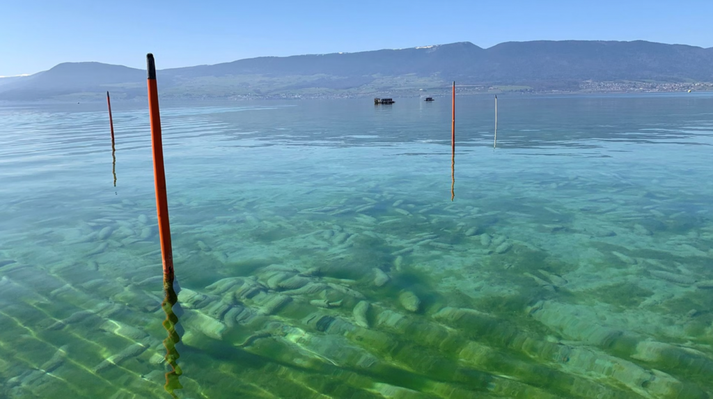 A red poles in the waterDescription automatically generated