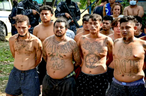 A group of men with tattoosDescription automatically generated